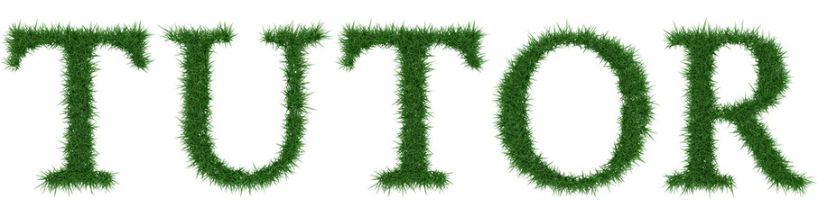 Tutor - 3D rendering fresh Grass letters isolated on whhite background.