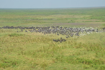 The view from the helicopter. Mozambique