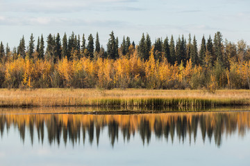 Fall Colors at Tanana Lake