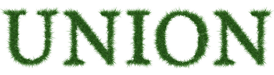 Union - 3D rendering fresh Grass letters isolated on whhite background.
