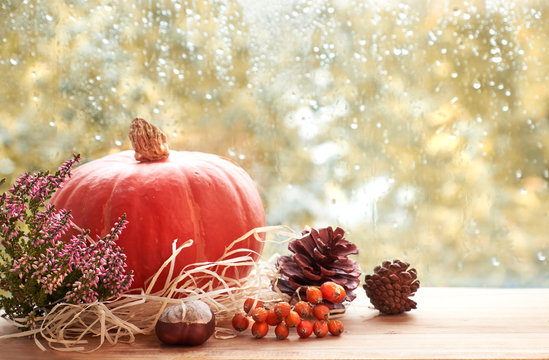 Autumn decorations on a windowboard on a rainy day, text space