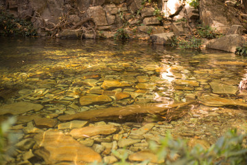Cachoeiras do cerrado