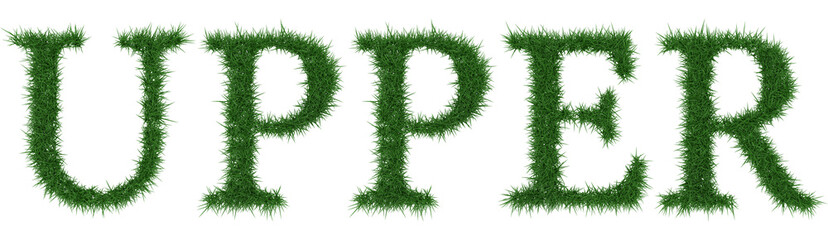 Upper - 3D rendering fresh Grass letters isolated on whhite background.