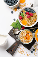 Homemade granola and healthy breakfast ingredients - milk, dried fruit and berries