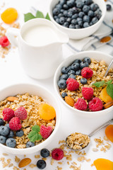 Homemade granola and healthy breakfast ingredients - milk, dried fruit and berries