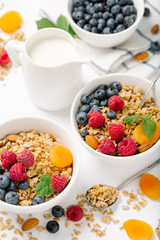 Homemade granola and healthy breakfast ingredients - milk, dried fruit and berries