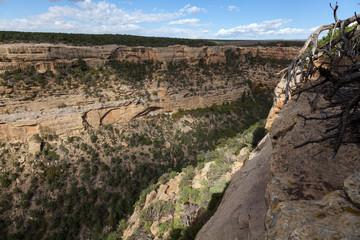 Deep Canyon in Mesa Verde National Park, Colorado
