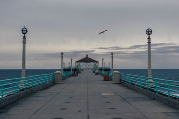 bird flying over beach pier