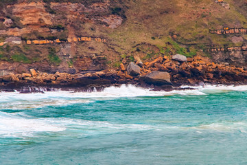 Cliffs of Suances at sunset , which stretches around the confluence of the rivers Saja and Besaya....