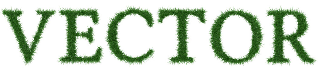 Vector - 3D rendering fresh Grass letters isolated on whhite background.