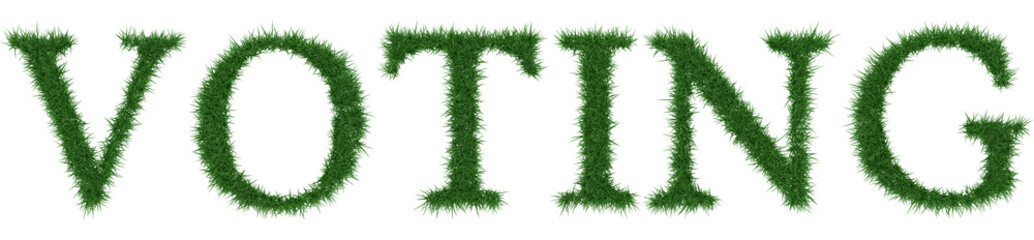 Voting - 3D rendering fresh Grass letters isolated on whhite background.