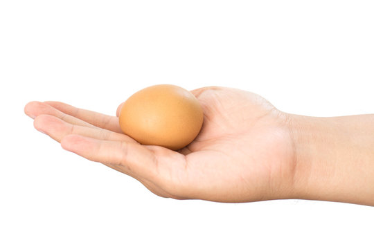 Holding a fresh egg in hand isolate with white background.