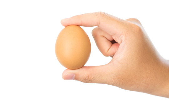 Holding a fresh egg in hand isolate with white background.