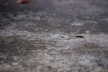 Road floor