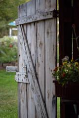 old barn door on potting shed