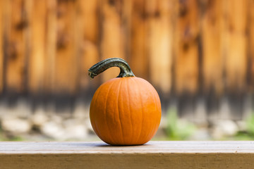 Vibrant orange pumpkin sitting on simple wooden bench in front of soft focus background