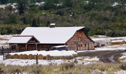 September Snow