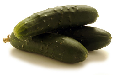 Cucumis sativus