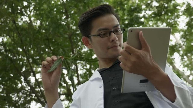 Biologist using digital tablet to analyze herb in the forest park