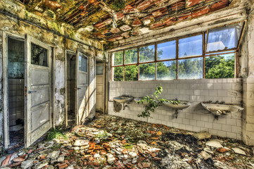 Ruined toilets in an abandoned asylum - obrazy, fototapety, plakaty