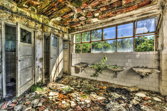 Ruined toilets in an abandoned asylum
