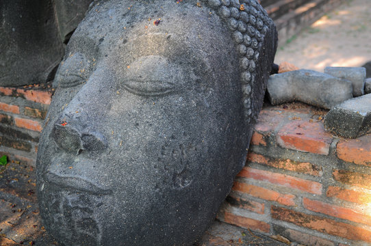 Statue of Buddha's head on the ground / Statue of Buddha's head on the ground in Mahathat temple, Ayutthaya province, Thailand