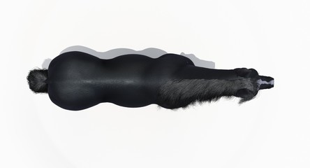 Black Horse (3D) © ANDRANIK