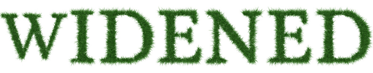 Widened - 3D rendering fresh Grass letters isolated on whhite background.