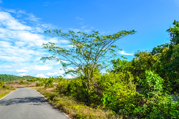  Beautiful Smooth Roads of South Goa with Amazing View, India