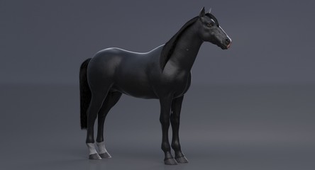 Obraz na płótnie Canvas Black Horse (3D)