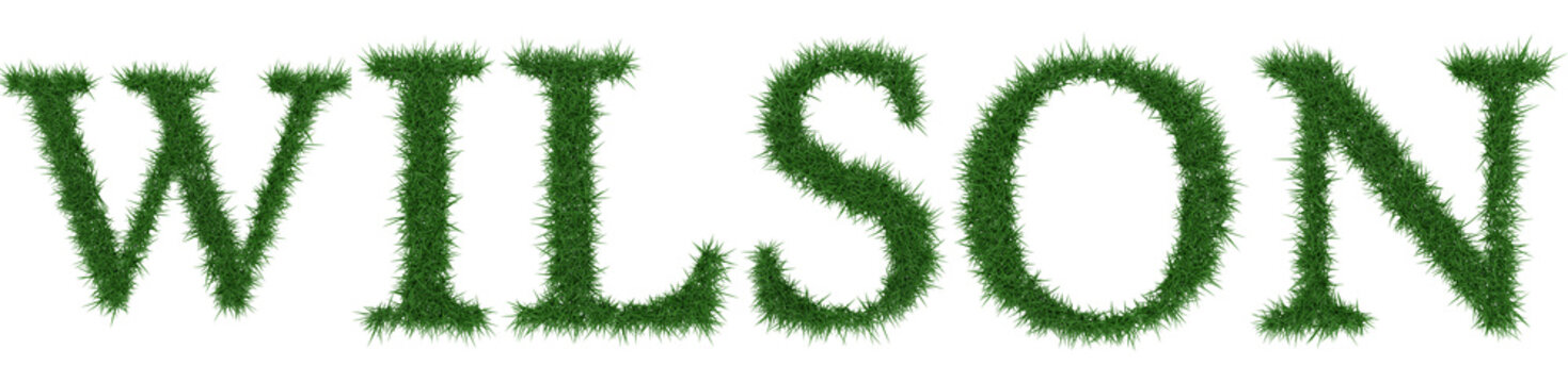 Wilson - 3D rendering fresh Grass letters isolated on whhite background.
