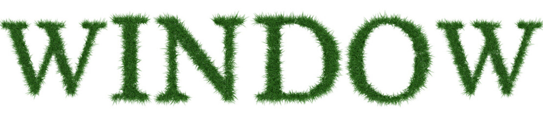 Window - 3D rendering fresh Grass letters isolated on whhite background.