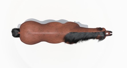Brown Horse (3D) © ANDRANIK