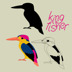 Fototapeta premium kingfisher bird vector illustration black silhouette line drawing