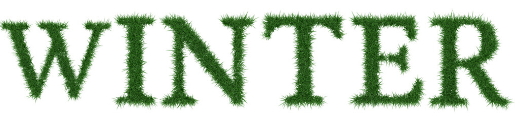 Winter - 3D rendering fresh Grass letters isolated on whhite background.