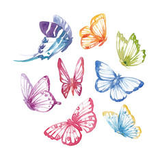 Watercolor butterflies set