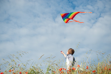 happy little boy standing among flower field holding colorful kite