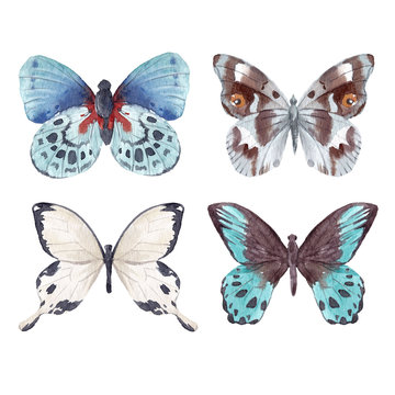 Watercolor butterflies set