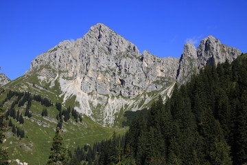 Fototapeta na wymiar Blick auf die Baumgrenze in den Tannheimer Alpen