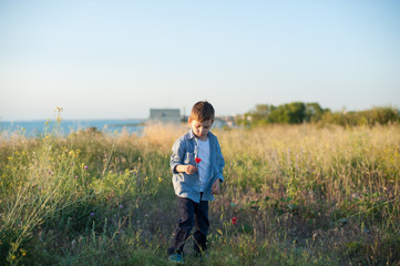 Naklejka na ściany i meble Beautiful little boy holding a flower stands in a field