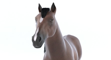 Obraz na płótnie Canvas Brown Horse (3D)