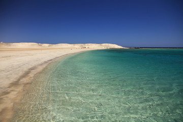 Marsa Mubarak,on of the most beautiful places in the Marsa Alam region, where can be seen Dugong (sea cow) and sea turtles
