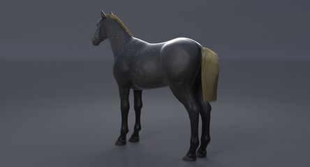 Obraz na płótnie Canvas Gray Horse (3D)