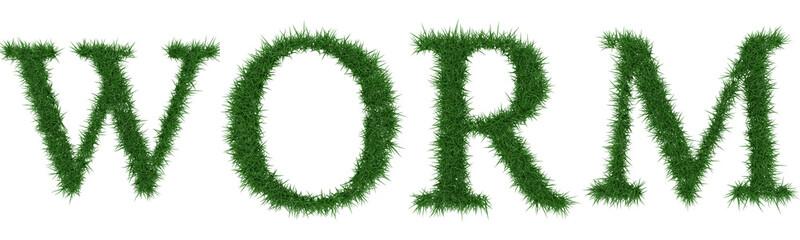 Worm - 3D rendering fresh Grass letters isolated on whhite background.