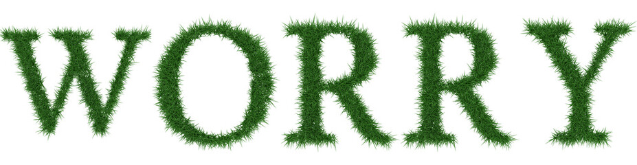 Worry - 3D rendering fresh Grass letters isolated on whhite background.