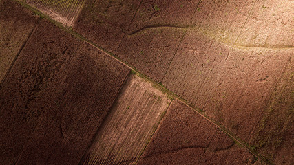 Aerial photography Pattern on the Earth Field Corn Farm Abstract Harvest Season