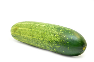 Fresh green cucumber