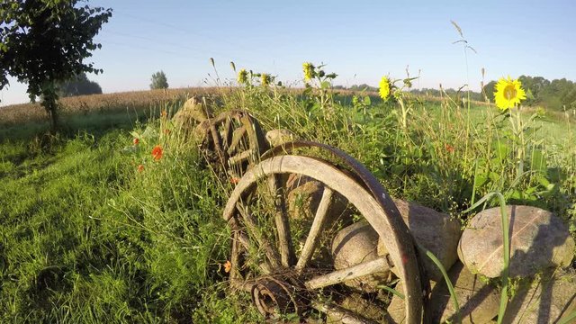 Morning shadows in summer end and decorative fence with stones, wheels and flowers in farm, time lapse

