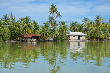 Fototapeta na wymiar Tropical shore of an islet with coconut trees and typical Polynesian house, Huahine island, Pacific, French Polynesia