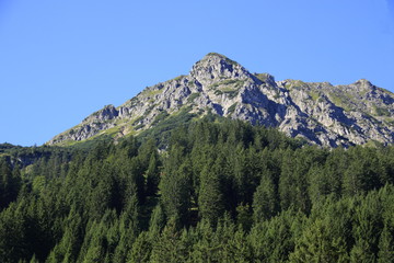 Blick auf die Krinnenspitze bei Nesselwängle im Tannheimer Tal in Österreich